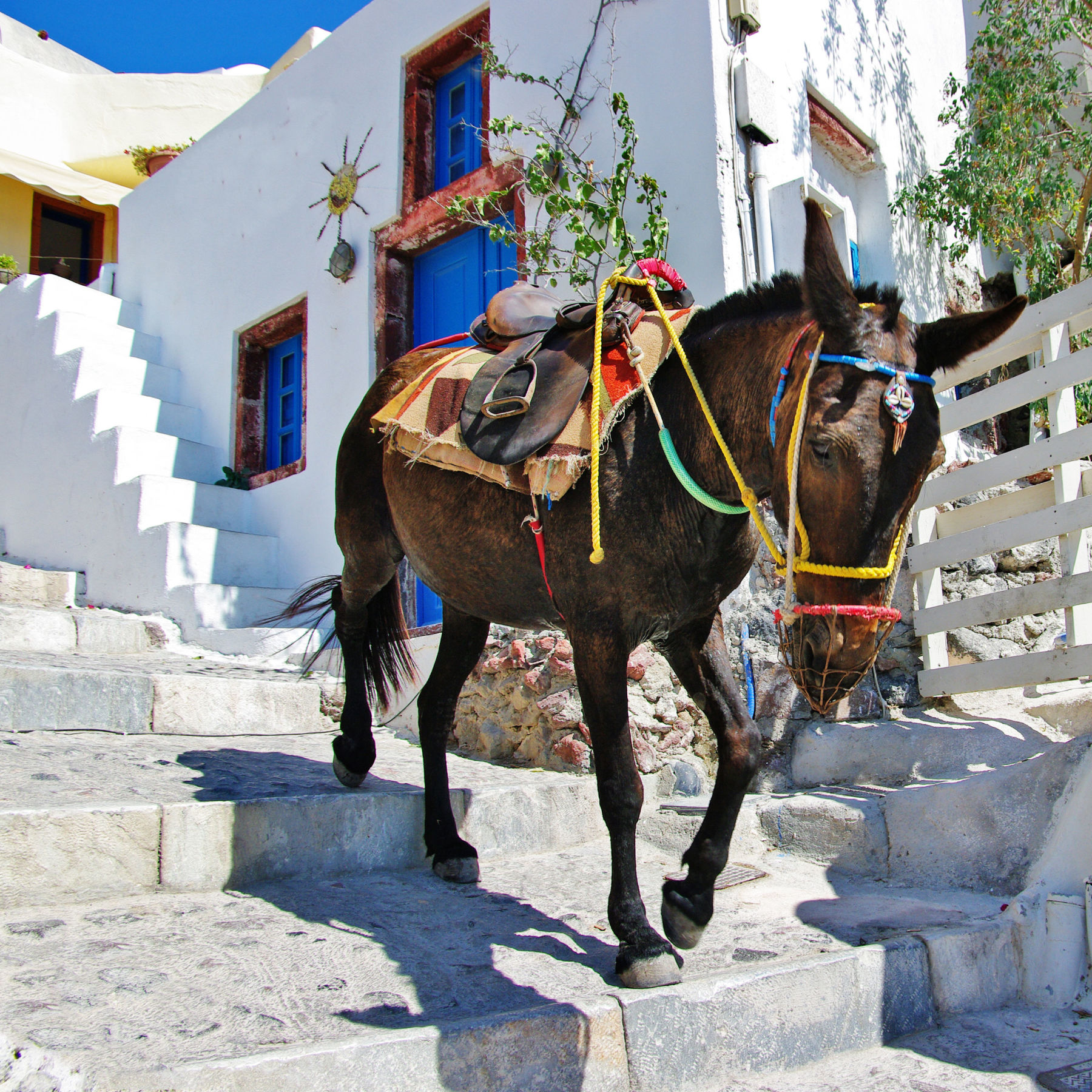 Santorini Activities - Olia Villas & Suites, Imerovigli Santorini